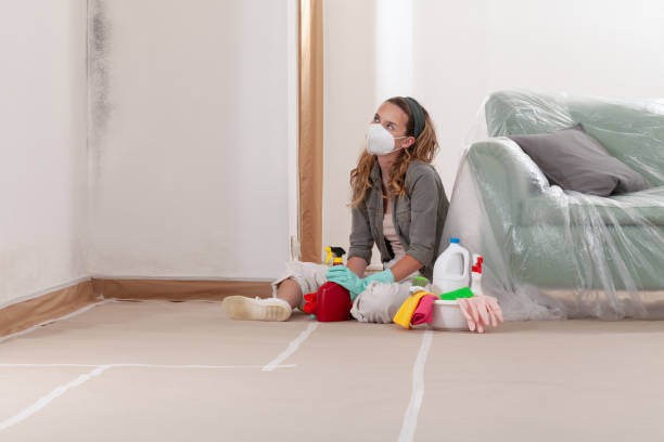 Reliable Mold Remediation contractor in Watertown, NY by WQB Mold Removal